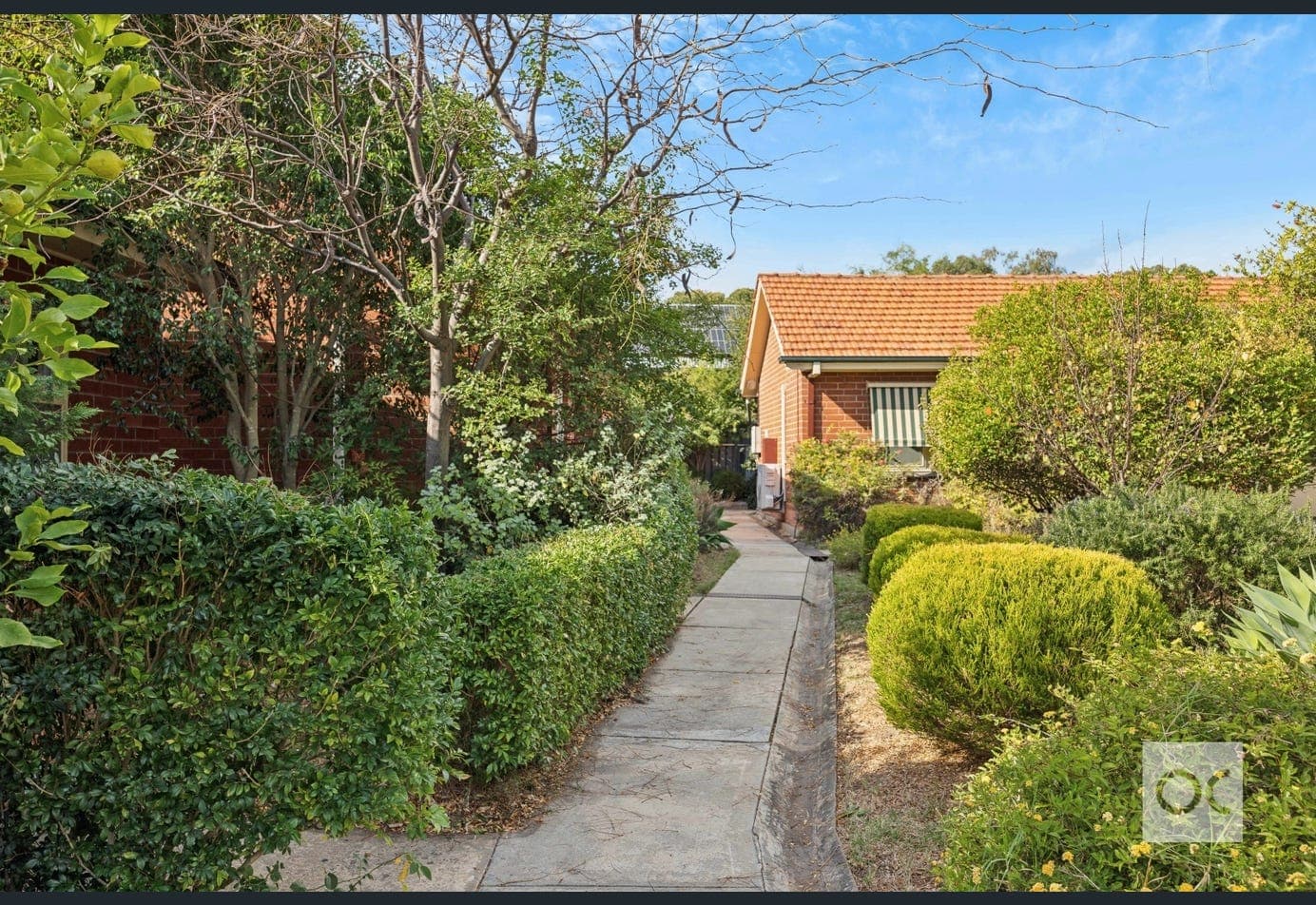 45 Angas Road, Hawthorn — photo 7
