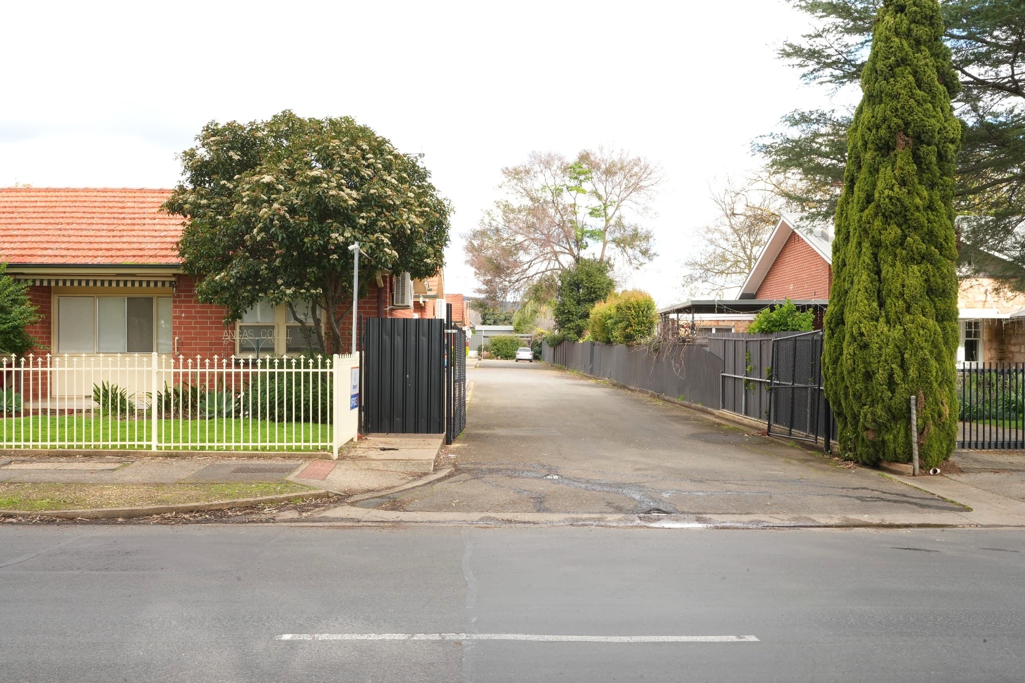 45 Angas Road, Hawthorn — photo 3