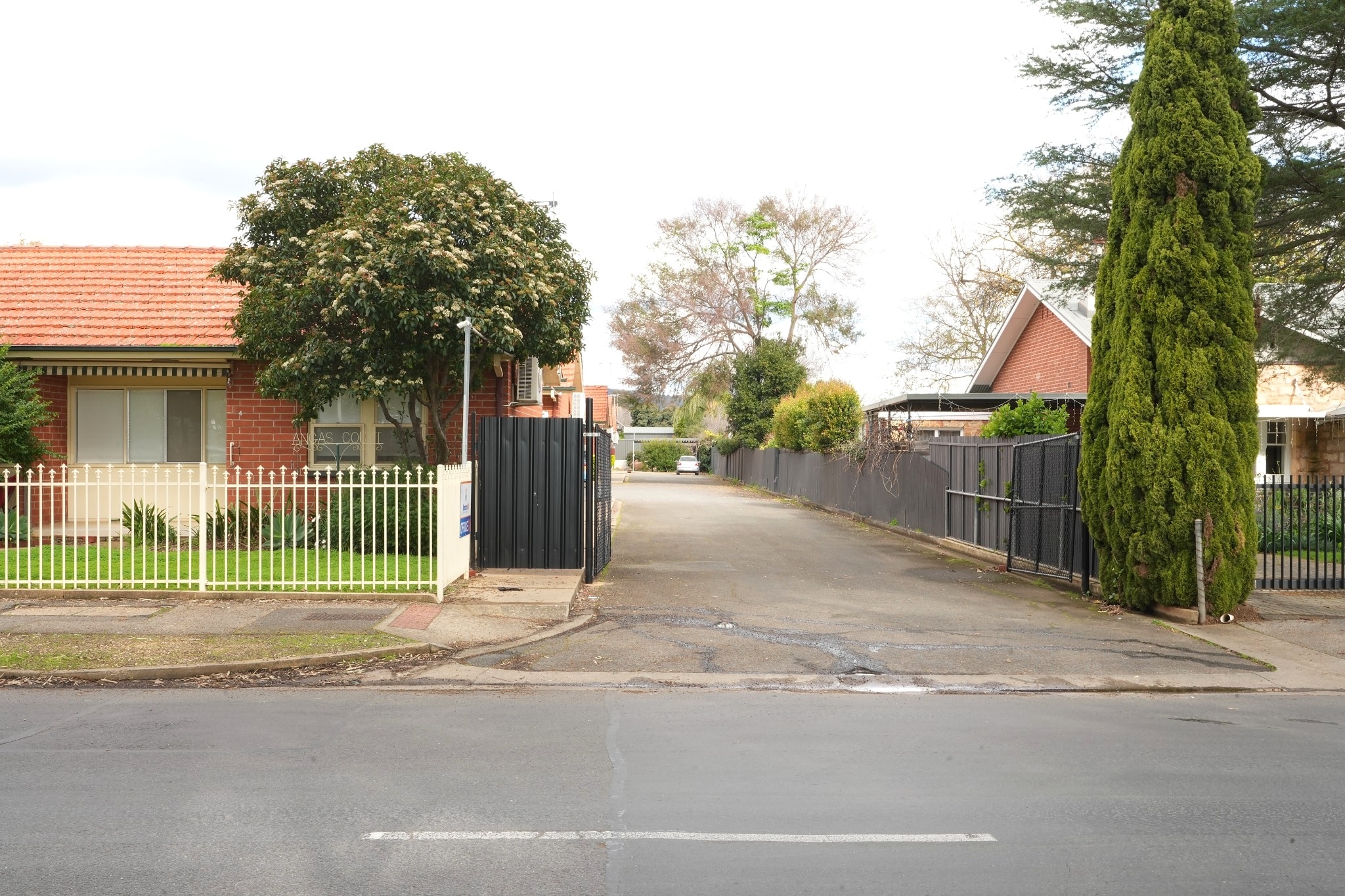 45 Angas Road, Hawthorn — photo 3 of 16